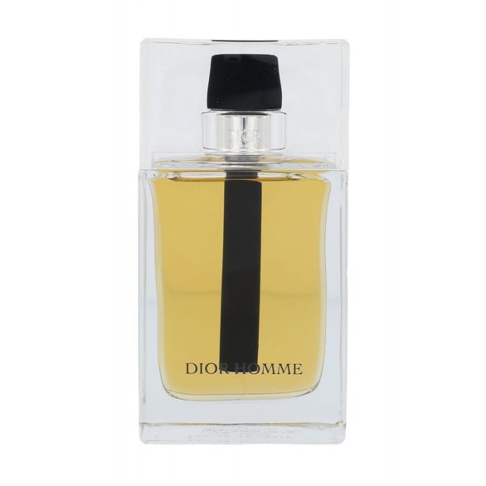 Christian Dior Dior Homme Men's Perfume 100 ml